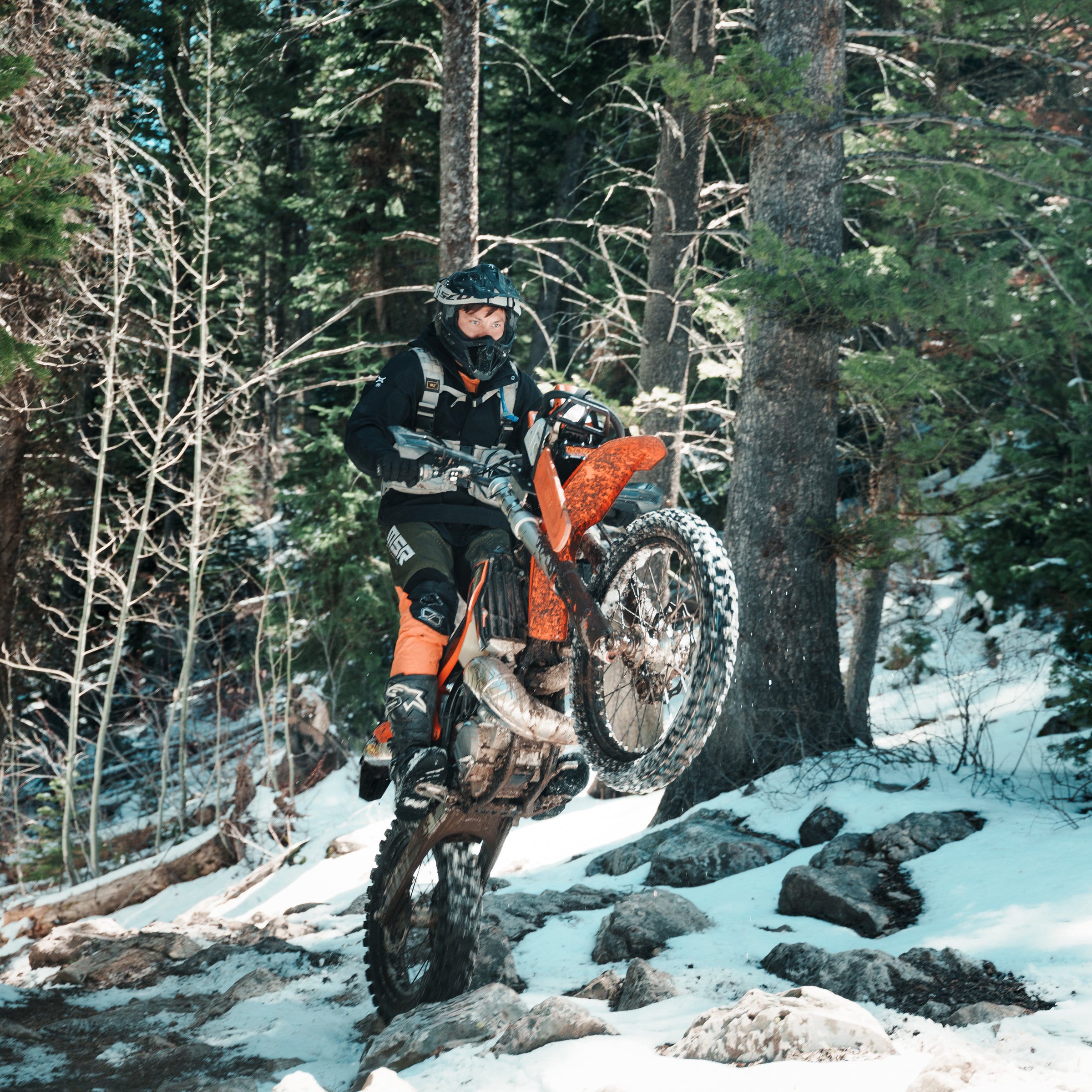 CHAINSAW MOUNT PRO BUNDLE